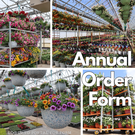 Annual Order Form - log in for form