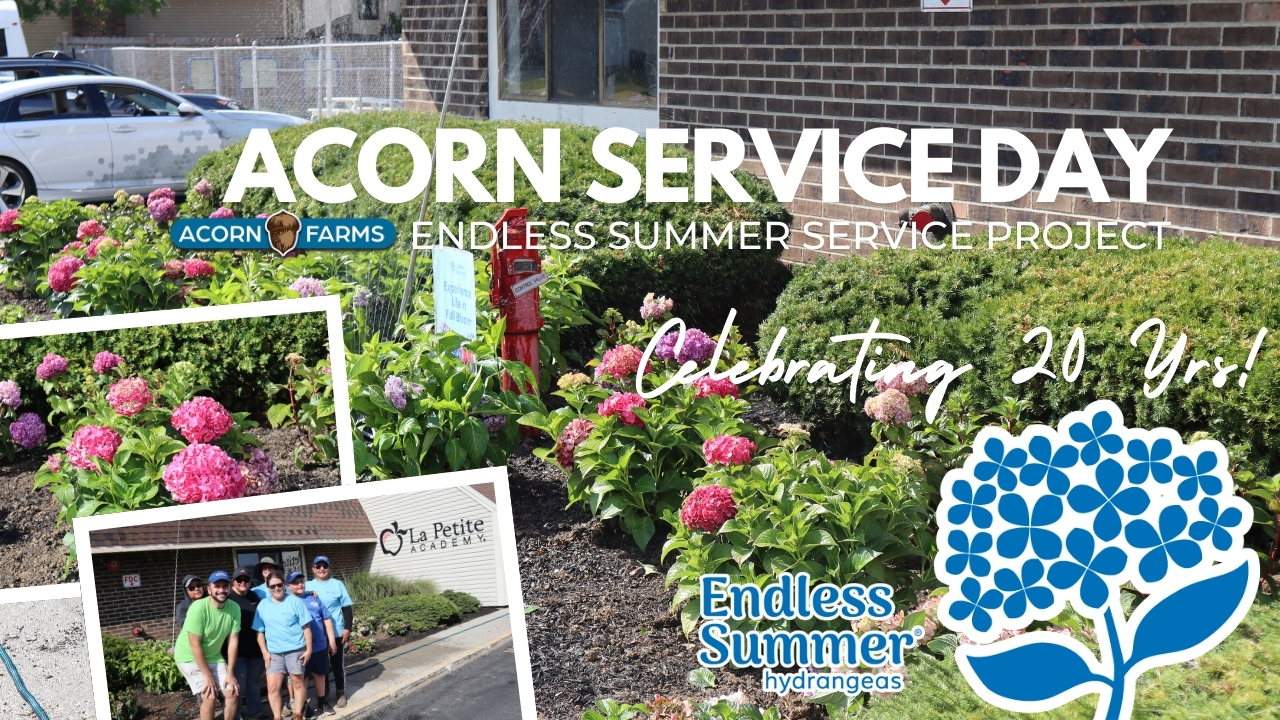 Acorn Farms Service Day!