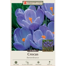 CROCUS REMEMBRANCE