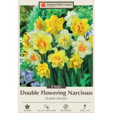 DAFFODIL DOUBLE MIX