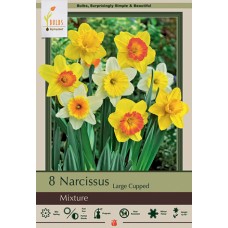 DAFFODIL NATURALIZING MIX