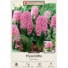 HYACINTH PINK PEARL