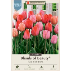 TULIP BLUSH MIX