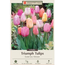 TULIP EASTER JOY MIX