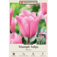 TULIP MISTRESS