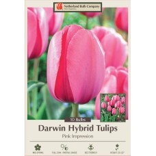 TULIP PINK IMPRESSION