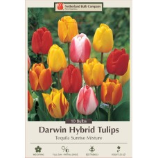 TULIP TEQUILA SUNRISE MIX